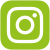 Instagram_logo_Grün